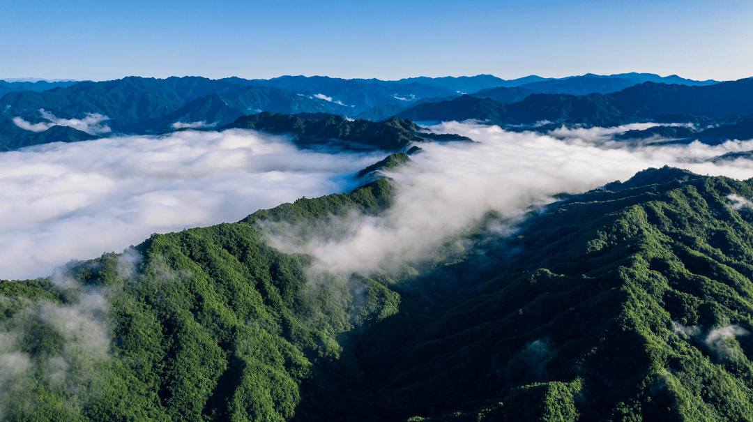 秦岭峡谷漂流